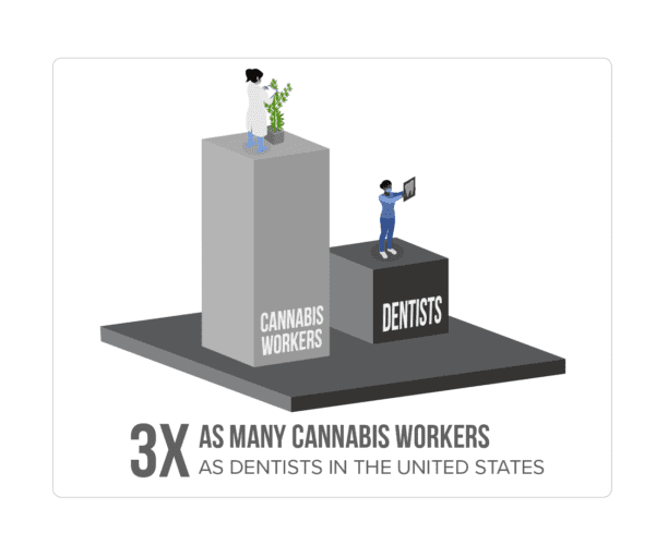 3x As many cannabis workers than dentists
