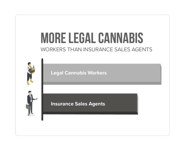 More Legal Cannabis Workers than insurance sales agents